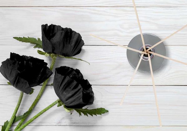 Eve Victoria Home Fragrance Reed Diffuser Top View Black Poppy